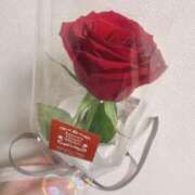 ヒメ日記 2024/12/27 11:21 投稿 このは 池袋マリン本店