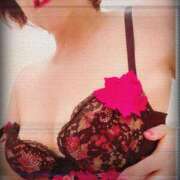 ヒメ日記 2025/04/06 02:28 投稿 美咲ゆり 五十路マダムエクスプレス船橋店(カサブランカグループ)