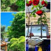 ヒメ日記 2025/05/07 18:46 投稿 美咲ゆり 五十路マダムエクスプレス船橋店(カサブランカグループ)