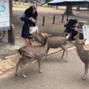 ヒメ日記 2025/01/18 09:50 投稿 るり★ 阿AUN呍(あうん)