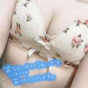 ヒメ日記 2024/12/21 05:14 投稿 ろい 秋葉原コスプレ学園in西川口