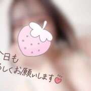 ヒメ日記 2025/02/08 07:31 投稿 ろい 秋葉原コスプレ学園in西川口