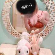 ヒメ日記 2025/12/15 08:23 投稿 ろい 秋葉原コスプレ学園in西川口