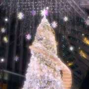 ヒメ日記 2025/12/21 12:03 投稿 ろい 秋葉原コスプレ学園in西川口