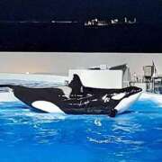 ヒメ日記 2025/05/07 17:11 投稿 きょうか ぷるるんマダム 難波店