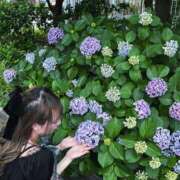 ヒメ日記 2025/06/15 15:49 投稿 みあ ギャルコレクション