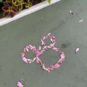 ヒメ日記 2026/01/10 07:51 投稿 みあ ギャルコレクション