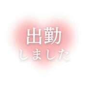 ヒメ日記 2024/10/28 08:56 投稿 めい 横浜人妻花壇本店