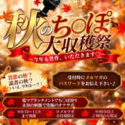 ヒメ日記 2026/10/13 16:27 投稿 ひな One More 奥様　五反田店