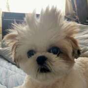 ヒメ日記 2024/12/17 17:31 投稿 もな 横浜秘密倶楽部