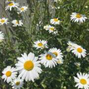 ヒメ日記 2025/05/23 07:25 投稿 もな 横浜秘密倶楽部