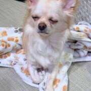 もな キラ退(遅) 横浜秘密倶楽部