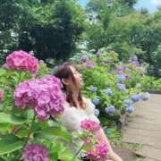 ヒメ日記 2025/07/07 17:02 投稿 臼木あまね LUXE(リュクス)