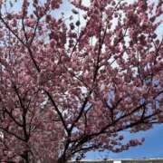 ヒメ日記 2026/02/27 17:02 投稿 臼木あまね LUXE(リュクス)