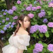 ヒメ日記 2026/04/21 11:23 投稿 臼木あまね LUXE(リュクス)