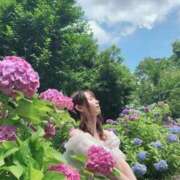 ヒメ日記 2026/06/01 09:42 投稿 臼木あまね LUXE(リュクス)