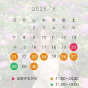 ヒメ日記 2026/06/16 17:22 投稿 臼木あまね LUXE(リュクス)