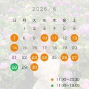 ヒメ日記 2026/06/23 15:12 投稿 臼木あまね LUXE(リュクス)