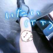 ヒメ日記 2025/04/14 11:14 投稿 みつは 櫻女学院