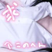 ヒメ日記 2025/04/30 13:30 投稿 みつは 櫻女学院