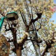 ヒメ日記 2025/03/13 20:36 投稿 田中みれい お色気物語（横浜ハレ系）