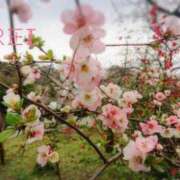 ヒメ日記 2025/03/27 07:21 投稿 田中みれい お色気物語（横浜ハレ系）