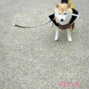 ヒメ日記 2025/06/24 21:52 投稿 田中みれい お色気物語（横浜ハレ系）