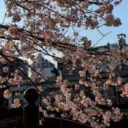 ヒメ日記 2026/03/21 19:48 投稿 田中みれい お色気物語（横浜ハレ系）