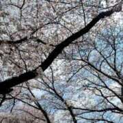 ヒメ日記 2026/03/28 18:04 投稿 田中みれい お色気物語（横浜ハレ系）