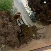 ヒメ日記 2025/04/12 02:31 投稿 きらり 東京♂風俗の神様 町田・相模原店