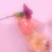 神埼みき ありがとうございます グランエステ東京 品川（シンデレラグループ）