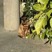 ヒメ日記 2026/01/24 13:06 投稿 さゆ 角海老宮殿