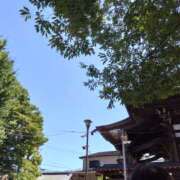 ヒメ日記 2026/08/16 21:30 投稿 さゆ 角海老宮殿