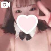 ヒメ日記 2024/12/20 22:47 投稿 うい ドMなバニーちゃん すすきの店