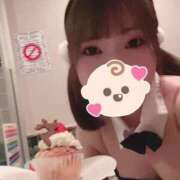 ヒメ日記 2024/12/25 19:43 投稿 うい ドMなバニーちゃん すすきの店