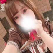 ヒメ日記 2025/01/06 23:18 投稿 うい ドMなバニーちゃん すすきの店