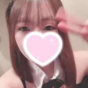 ヒメ日記 2025/01/07 18:02 投稿 うい ドMなバニーちゃん すすきの店