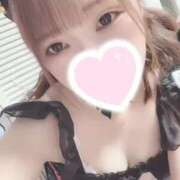 ヒメ日記 2025/02/16 12:28 投稿 うい ドMなバニーちゃん すすきの店