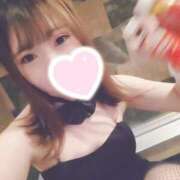 ヒメ日記 2025/02/21 20:08 投稿 うい ドMなバニーちゃん すすきの店