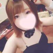 ヒメ日記 2025/03/25 17:49 投稿 うい ドMなバニーちゃん すすきの店