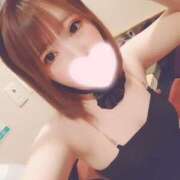 ヒメ日記 2025/03/26 17:55 投稿 うい ドMなバニーちゃん すすきの店