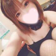 ヒメ日記 2025/03/27 01:05 投稿 うい ドMなバニーちゃん すすきの店