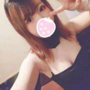 ヒメ日記 2025/09/17 00:11 投稿 うい ドMなバニーちゃん すすきの店