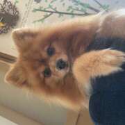 こはる 🐶❣️ 大宮baton