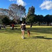 ヒメ日記 2026/10/29 15:32 投稿 こはる 大宮baton