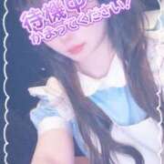 ヒメ日記 2025/01/18 16:10 投稿 はづき メイドde本舗