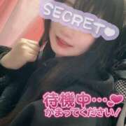 ヒメ日記 2025/02/25 20:13 投稿 はづき メイドde本舗