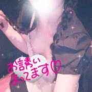 ヒメ日記 2025/03/08 20:03 投稿 はづき メイドde本舗