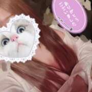 ヒメ日記 2025/11/21 19:30 投稿 さきの IRIS(岐阜)