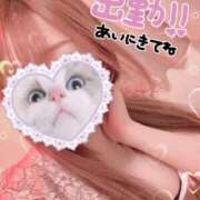 ヒメ日記 2026/03/29 11:46 投稿 さきの IRIS(岐阜)